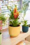 vibes fold rund 18cm buttergelb